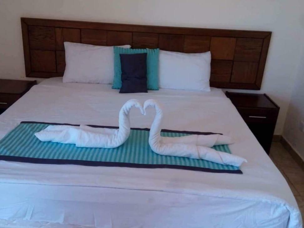 Almarsa Village Resort Akaba Zimmer foto
